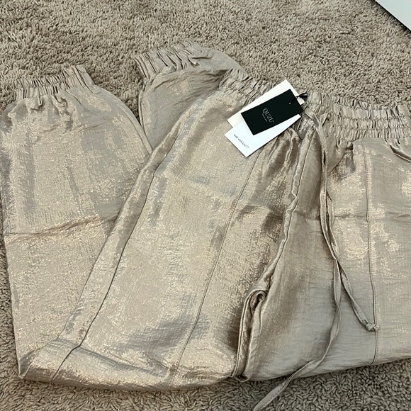 Shimmery pants - Picture 1 of 5